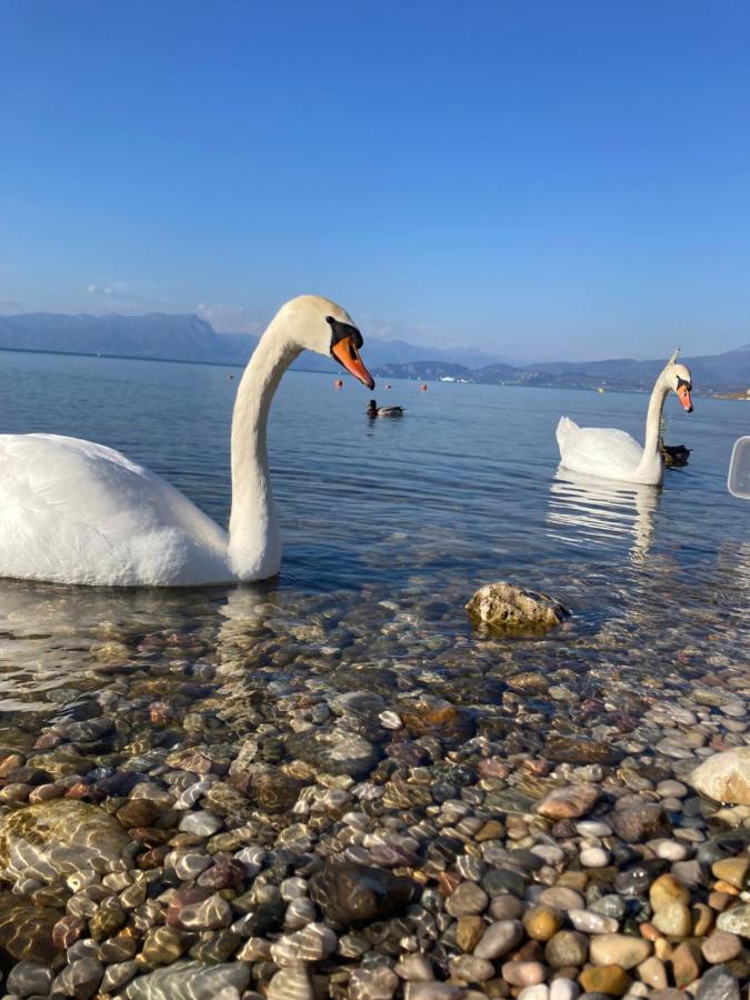 Garda Art&Lake เปสเคียรา เดล การ์ดา ภายนอก รูปภาพ